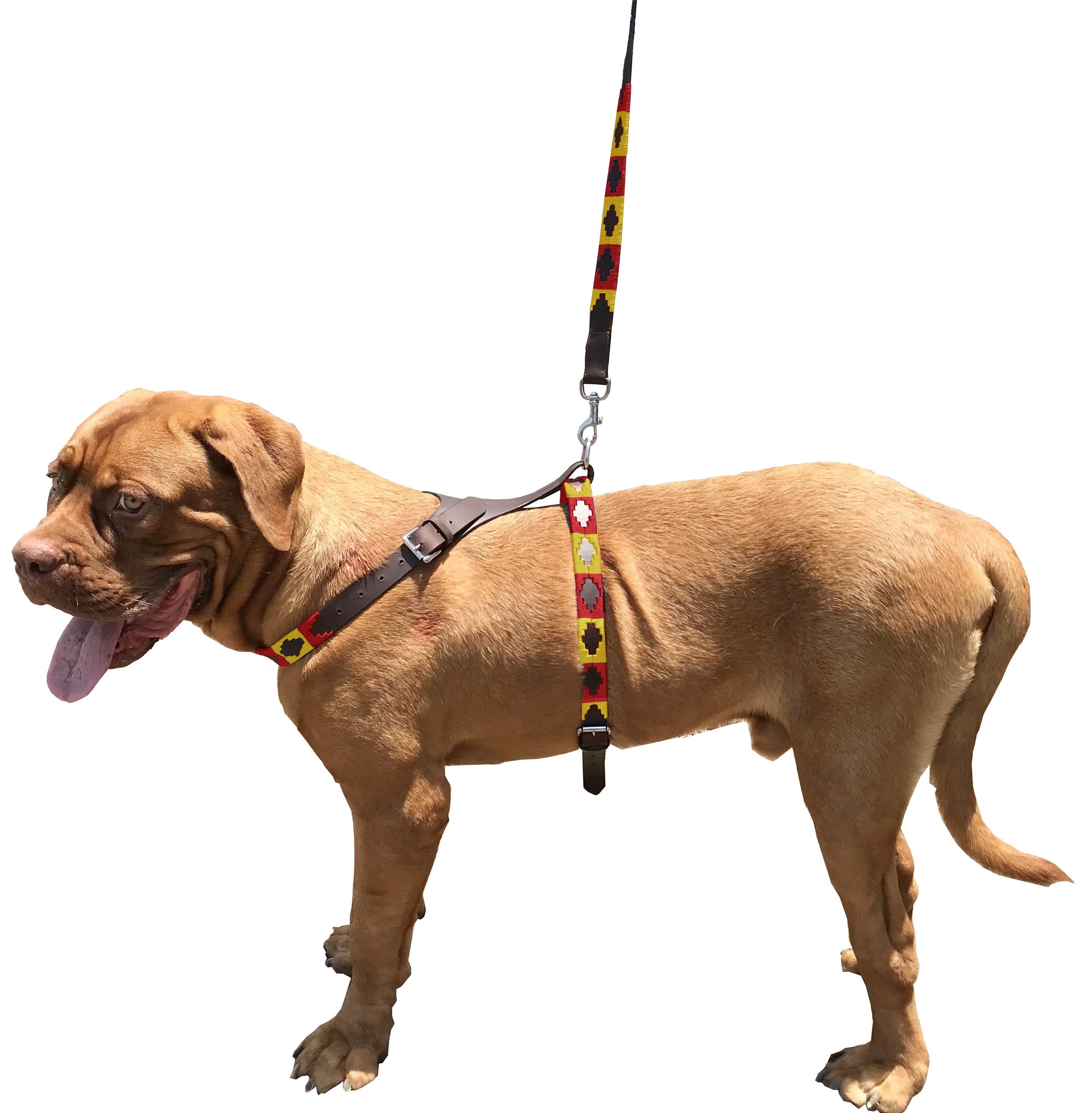 ANDALGALÁ - Polo Dog Harness & Lead Set